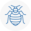 Bed Bug Extermination In Chapel Allerton